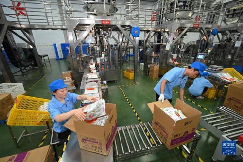 中國首次進(jìn)口肯尼亞野生鳀魚產(chǎn)品亮相中非經(jīng)貿(mào)博覽會(huì)